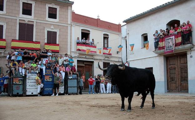 Desencajonada de bous al carrer.