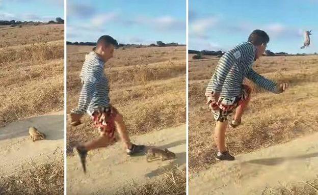 El joven difundió un vídeo en el que puede verse cómo propina patadas al animal.