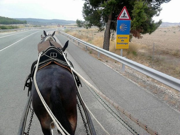 Uno de los animales tirando de la carreta durante el camino.