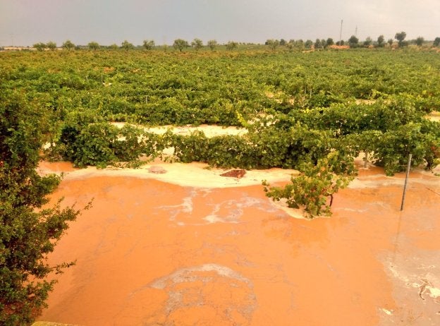 Campo entre Villargordo y Fuenterrobles anegado por las lluvias de ayer.