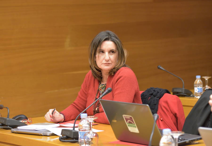 La diputada Mercedes Caballero./LP