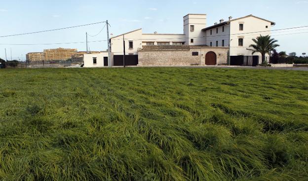 La huerta de Alboraya. / J. MONZO