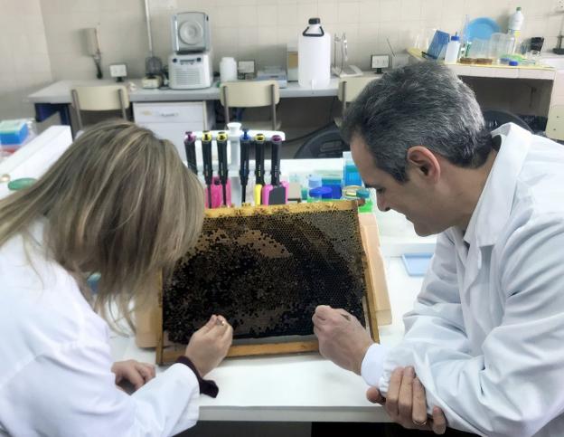 El investigador Joel González, en su laboratorio. / lp