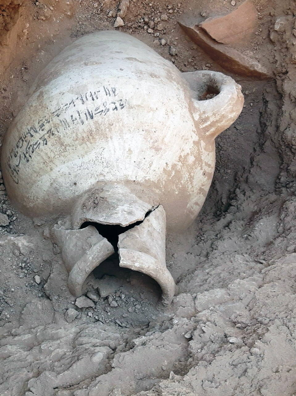 Fotos Así es la ciudad dorada perdida hallada cerca de Luxor Las