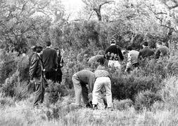 Fotografía exclusiva de LAS PROVINCIAS de la busqueda en La Romana. / F. García/