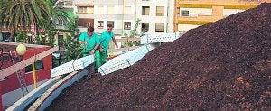 Colocación del jardín aéreo en uno de los edificios de saneamiento de la calle Doctor Lluch. ::
LP/