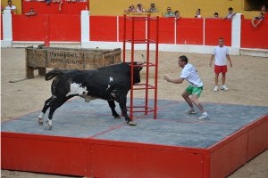 El toro 'Ratón', durante el festejo celebrado ayer en Ricla (Zaragoza). :: N. PÉREZ/