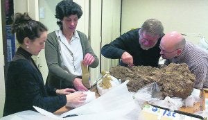El neandertal hallado en Oliva llega a Barcelona para ser restaurado