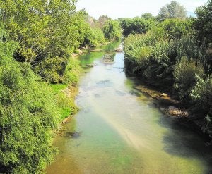 Estado actual del Júcar en un tramo a su paso por la Ribera. ::
LP/
