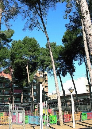 Parque Central de Almussafes, con los pinos carrascos. LP/