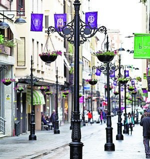 Las jardineras de la Vila Nova cuestan 40.000 euros