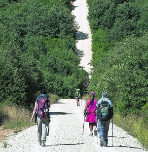 Peregrinos de camino a Santiago de Compostela. :: S. ORDÓÑEZ/REUTERS/