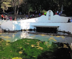 Agua estancada y sucia en el Clot de la Font de Tavernes. ::
LP/
