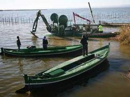 El Ayuntamiento destina 2 millones de euros del Fondo Local para limpiar ''a fondo'' la Albufera