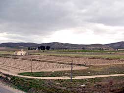 Terrenos del Morrón, paraje de Villena donde Danone proyecta construir la planta embotelladora de agua mineral./