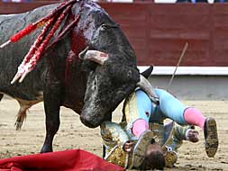 Frascuelo, doble cornada