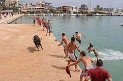 Un chapuzón con toros en las fiestas.