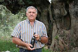 Ramón Mampel, presidente de la cooperativa Clot d'en Simó, exhibe una de las botellas de aceite de olivo milenario./