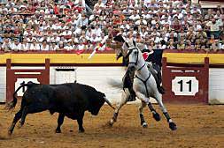 Naranjas y toros