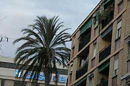 Arriba a la derecha, balcón del quinto piso desde el que los adolescentes dispararon contra la clínica la Salud./