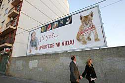 Una de las vallas de la campaña de la Conferencia Episcopal contra el aborto que ya se vio ayer en Valencia./
