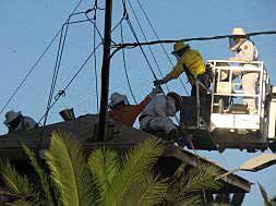 Los bomberos de Valencia trabajan para retirar nidos de abejas en una torre de transformación eléctrica de Carpesa./