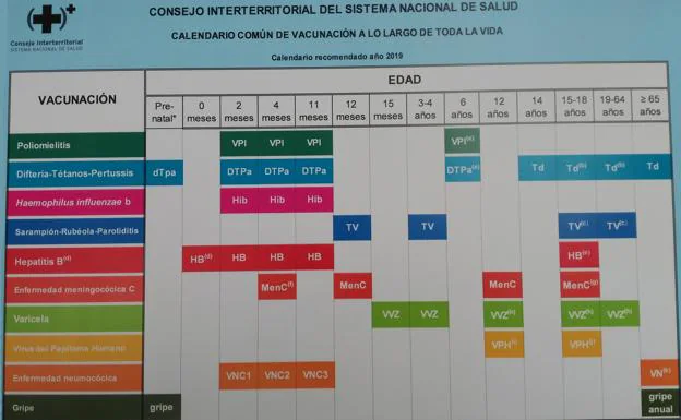 Vacunas  Así es el calendario vacunal para toda la vida aprobado en España  Las Provincias