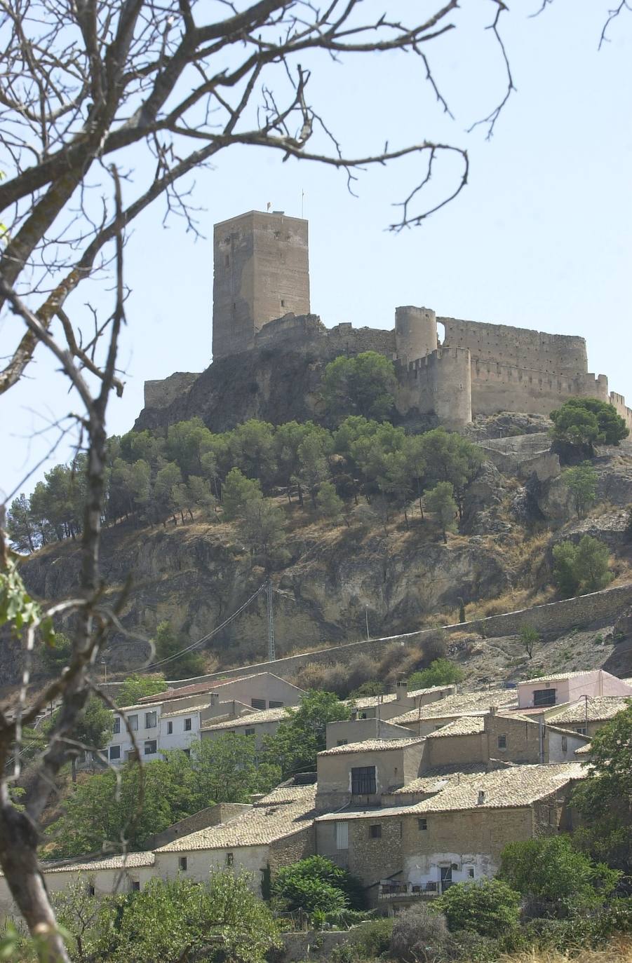 ¿La reina de las cenizas?