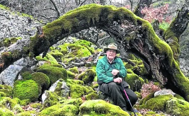 El dios creador de los bosques y los grelos extremeños ...