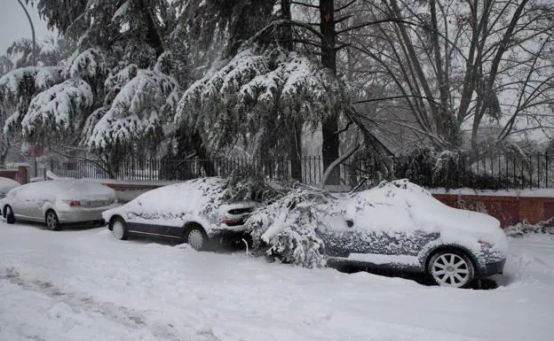 Coches aplastados por ramas de árboles caídas por la nevada en Madrid./Efe