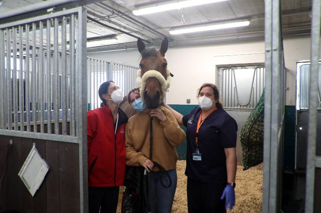 La epidemia de caballos cede después de que todos los caballos son liberados.