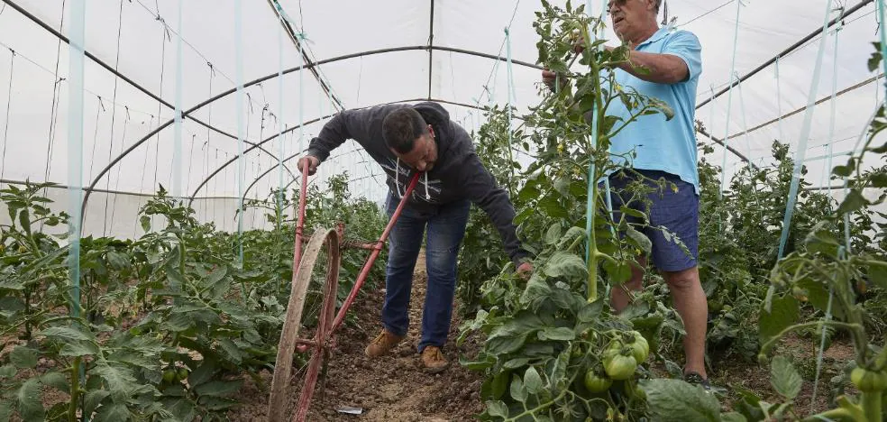 www.lasprovincias.es