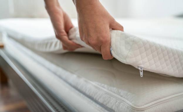 Cómo saber si tienes chinches en tu colchón y cómo deshacerte de ellas