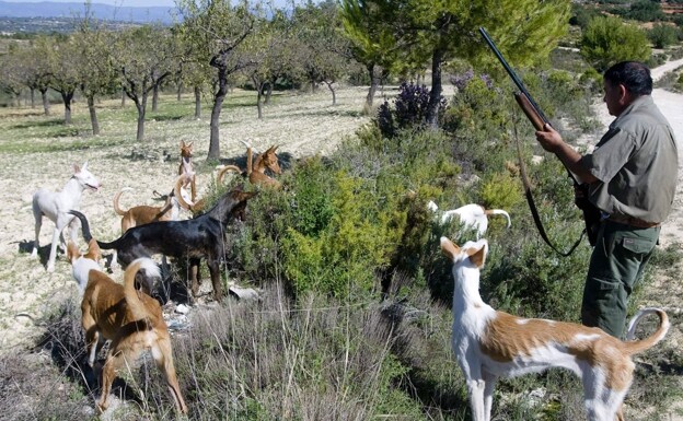 Un cazador con sus perros en un parque natural de Valencia. 