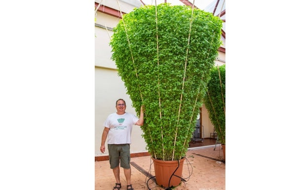 Ramón Asensi, junto a una de las plantas. 