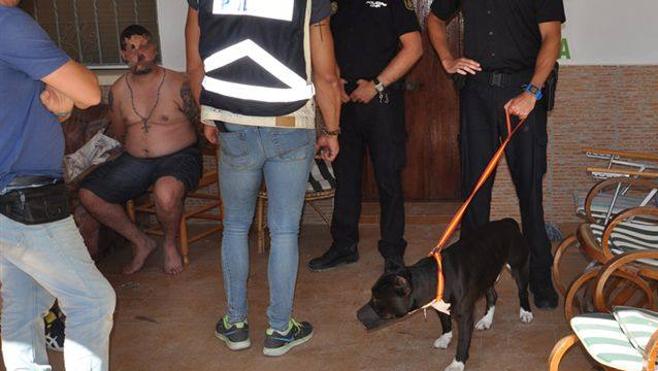 La Policia Nacional Detiene Al Dueno De Los Perros Que Atacaron A Dos Ciclistas En Denia Las Provincias