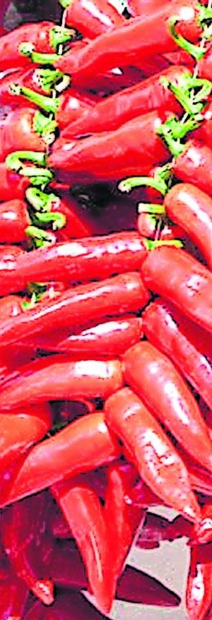 uso farmacol贸gico de la capsaicina